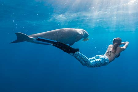 Freediver Course Plus Accommodation Package